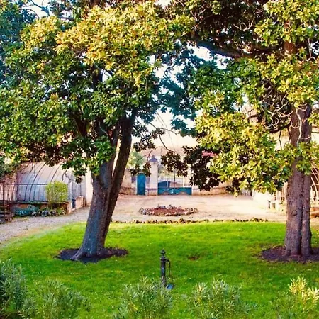 Le Grand Manoir D'aleksandr Holiday home *